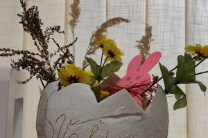 IMG_20260312_082813.jpg