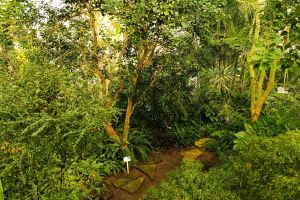 IMG_20250225_095225.jpg