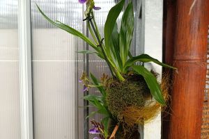 IMG_20250225_100218.jpg