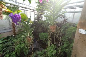 IMG_20250225_102908.jpg