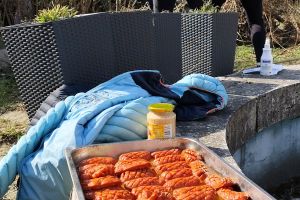 IMG_20260311_104244.jpg