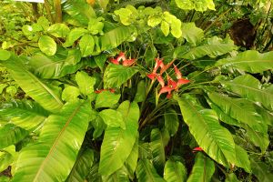 IMG_20250225_095157.jpg